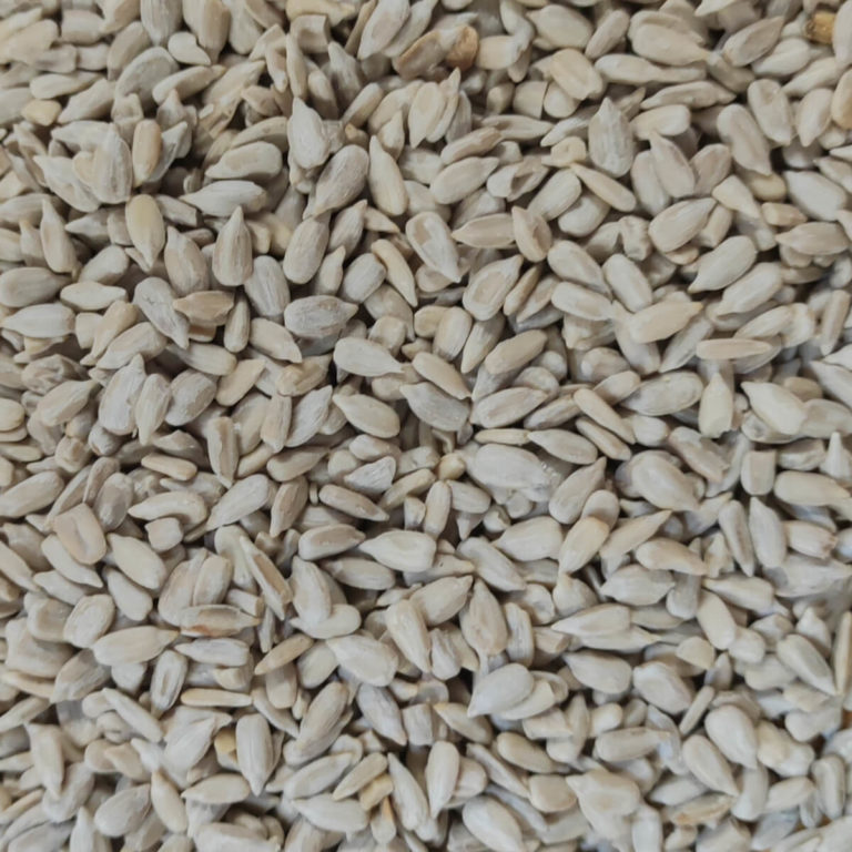 GRAINES DE TOURNESOL DÉCORTIQUÉES, 25kg - La ronde du bio
